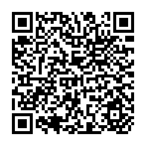 QR Code for Strategies for Balanced Growth in Developing Countries