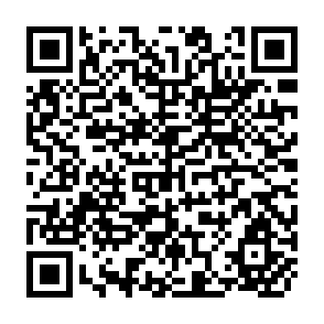 QR Code for The Development Potential of New Lands Settlement in the Tropics and Subtropics:A Global State-of-The-Art Evaluation with Specific Emphasis on Policy Implications