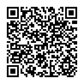 QR Code for Report on Research and Development 1982/83