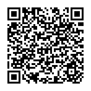 QR Code for Malnutrition and Poverty- Magnitude and Policy Options