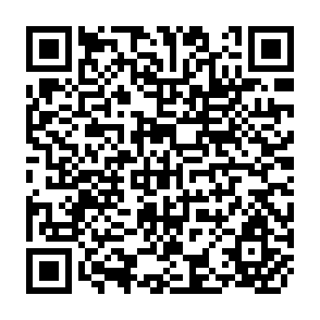 QR Code for Power Politics and Progress
