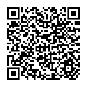 QR Code for Intensification of Peasent Agriculture in Yucatan