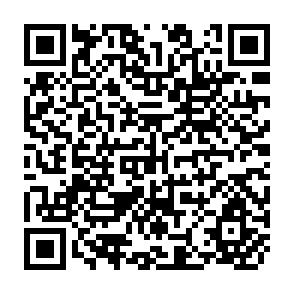 QR Code for A Man power and Training Plan for the Agricultural Research System in Kenya 1983-1087