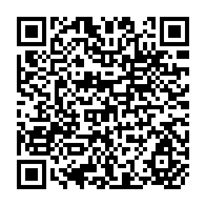 QR Code for Underminig Rural Developing with Cheap Credit