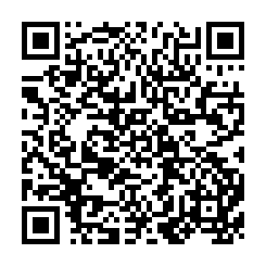 QR Code for Motivation of public officials serving small farming: The asian context