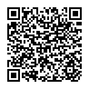 QR Code for Farm Investment and Financial Analysis