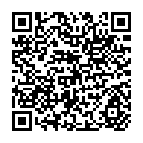 QR Code for Farm Investment and Financial Analysis