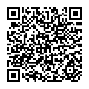 QR Code for Executive Leadership How to get it & make it work