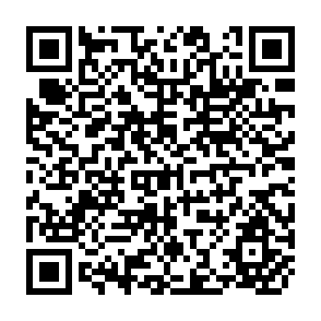 QR Code for Dryland Management Alternatives and Research Needs for Alfisols in the Semi-Arid Tropics