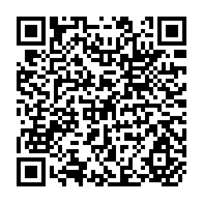 QR Code for The Effects of the Egyptian Food Ration and Subsidy System on Income Distribution and Consumption
