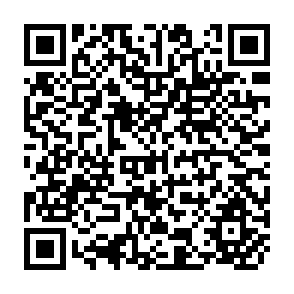 QR Code for A Handbook Of Water Plants