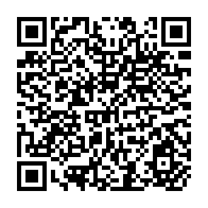 QR Code for Systems, Techniques & Tools Conservation Farming