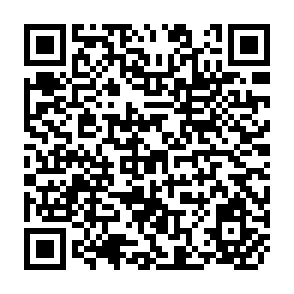 QR Code for Proceedings of Workshop on home and village prepared supplementary food parctices in asia