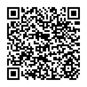 QR Code for The Solar Alternative - An Economic Perspective