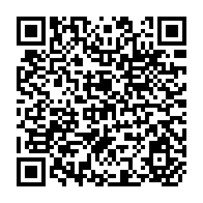 QR Code for The Human Transaction