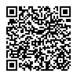QR Code for Limits of Insurability of Risks