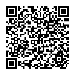 QR Code for Irrigation Management in Japan: A Critical Review of Japanese Social Science