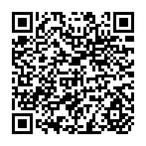 QR Code for Agriculture Paraproffessionals in the Philippines: Farmer Scholars, Agricultural Counselors and the Samahang Nayon Development Project