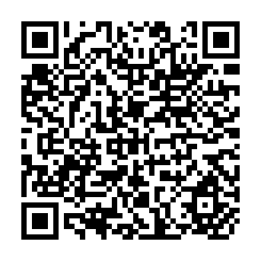QR Code for Report of the Workshop on Post-Harvest Losses & Small Farmer Storage Volume 1