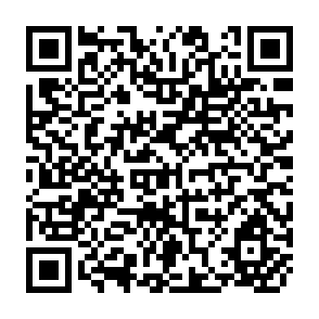 QR Code for Seeds of Progress