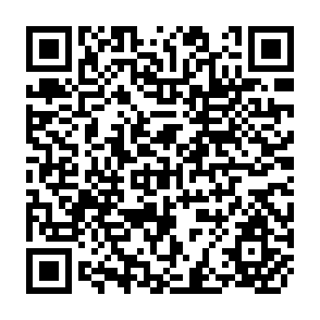 QR Code for The Step-by-step Guide to photo-offset Lithography