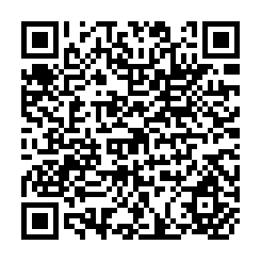 QR Code for An Introduction to Anthropology