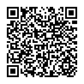 QR Code for Social Work Processors