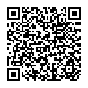 QR Code for Business Statistics