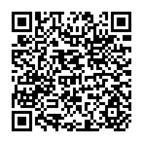 QR Code for Food First