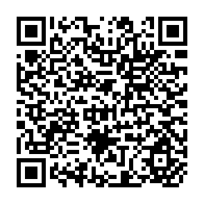 QR Code for Analysis of Project Finance in Developing Countries