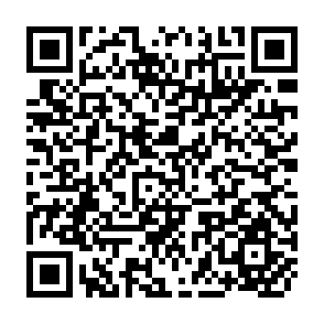 QR Code for An Introduction to South Asia