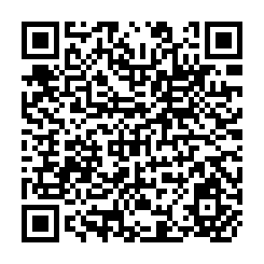 QR Code for An Introduction to Rural Settlement Planning