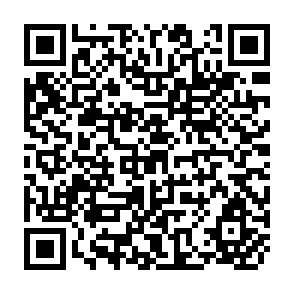 QR Code for The Struggle for Economic Development