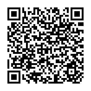 QR Code for Rural South Asia : Linkages, Change and Development