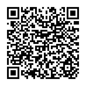 QR Code for Introductory Mathematics for Economists