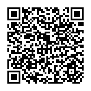 QR Code for The World Bank:A Critical Analysis