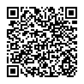 QR Code for The Economics of the Developing Countries