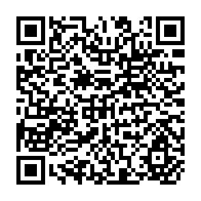 QR Code for Work,Income and Inequality