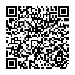 QR Code for Statistics in Practice