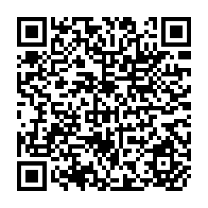 QR Code for Assissing Quantitative and Qualitative Losses in Rice Post  Production System