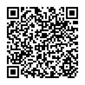 QR Code for The Consequences of Small Rice Farm Mechanization Project