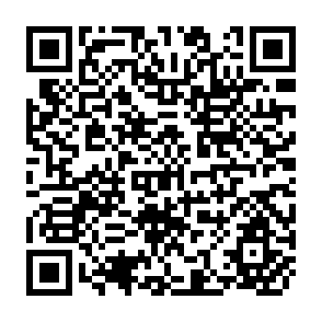 QR Code for Critical Considerations for the Development of National Agricultural Research Capacities