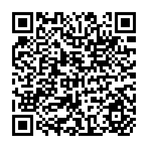 QR Code for The Potential for Mechanization in Small Farm Production Systems