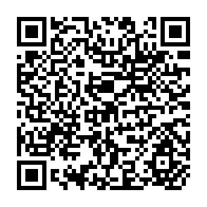 QR Code for The Chinese Way of Agricultural Mechanization