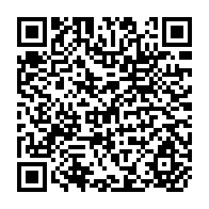 QR Code for Impact of Cropping Pattern Technology on Income Employment and Production: A Case Study on Expanded Crop Production in Lampung