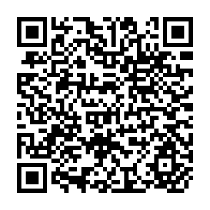 QR Code for Yugoslavia's Economic Crisis: the Price of Overexpansion