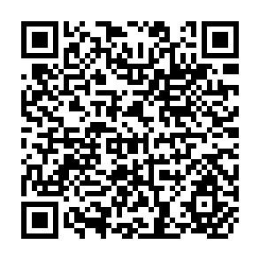 QR Code for National Migration Surveys