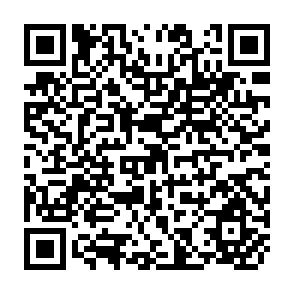 QR Code for The Economics of Hybrid Rice Production in China