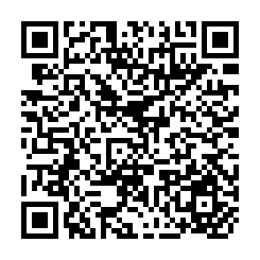 QR Code for Feasibility and Application of Rural Development Participation: A State-of-the-Art Paper