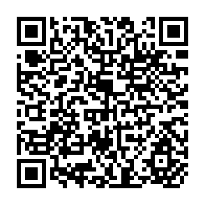 QR Code for The Economics of Irrigation